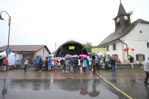 08-IMG 4768