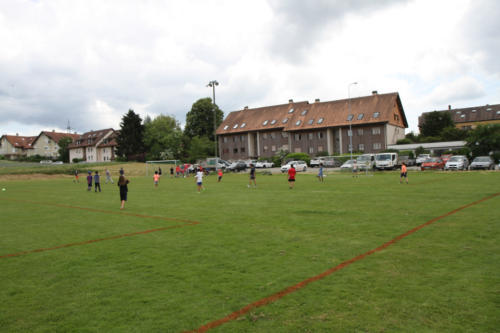 13-IMG 3038